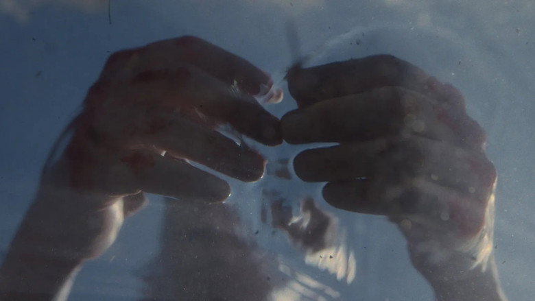 The Brutal Alchemy of Water backdrop 9