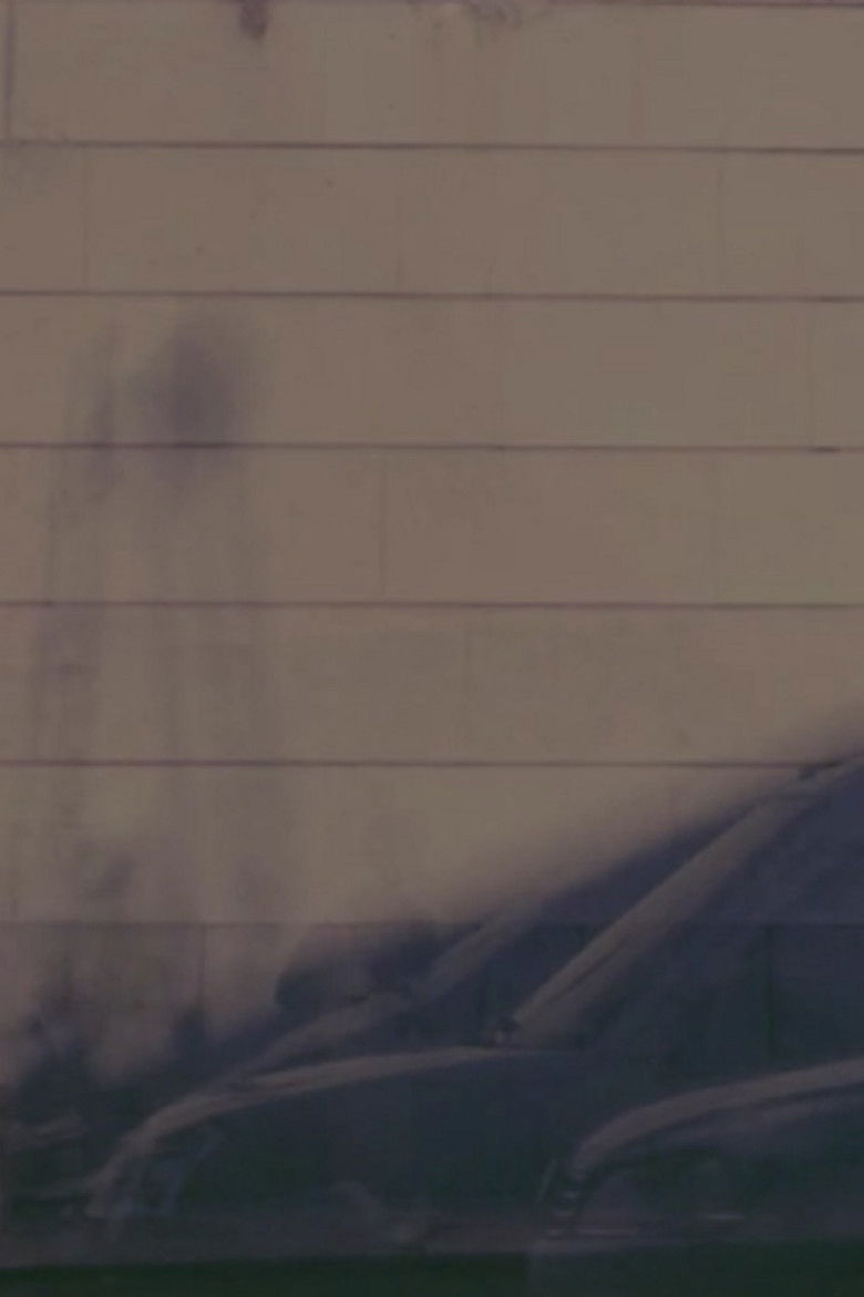 The Captured Light of an Instant