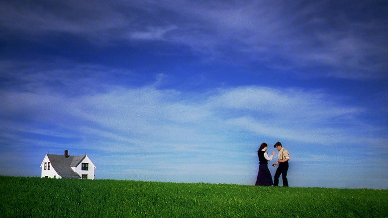Sweet Land backdrop 6