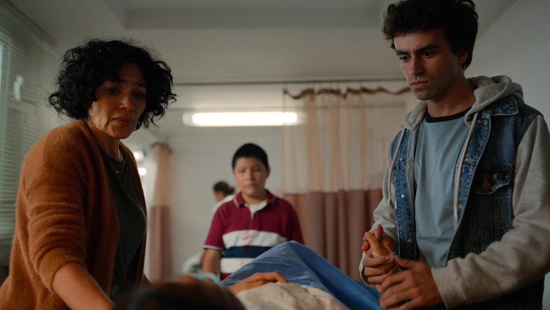 /tTw0lFb0m2Rew1TzDl3ut8kksVO.jpg
