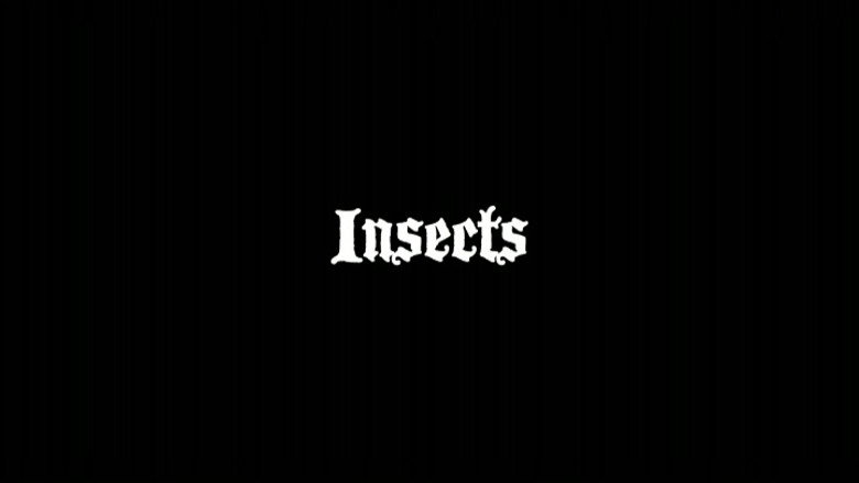 Band Interview - Insects