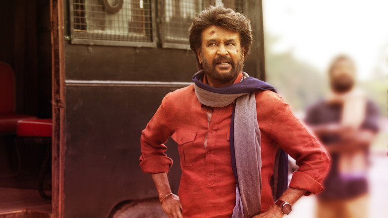 Petta backdrop 9