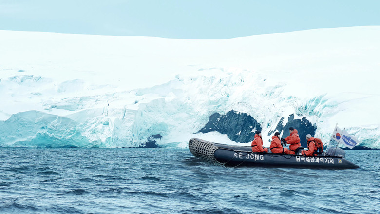 Chef of Antarctica backdrop 2