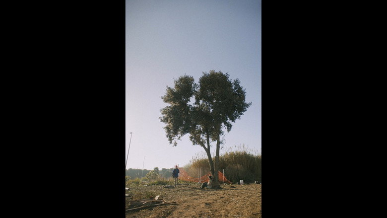 The silent cry of the trees backdrop 2