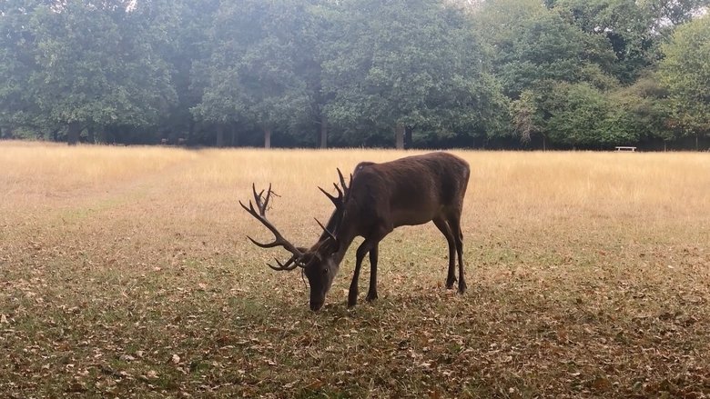 My Back Hurts and I Hate my Hair