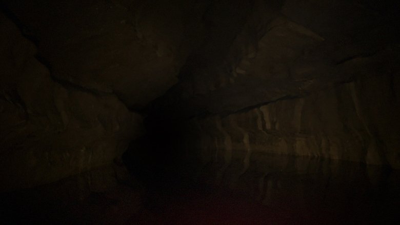 The Belly of the Beast