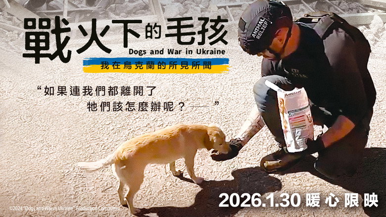Dogs and War: What I saw in Ukraine backdrop 5