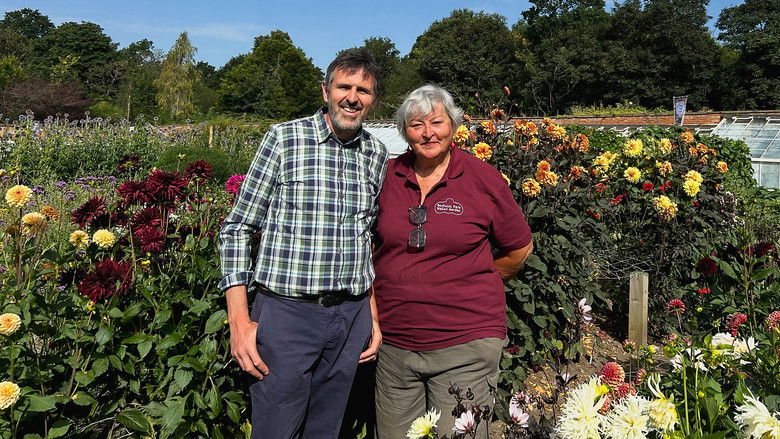 Compilations 2026: Episode 1