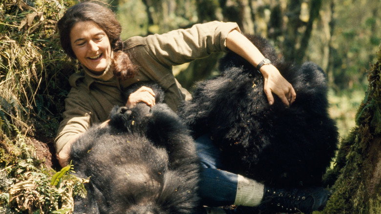 Dian Fossey: Secrets in the Mist backdrop 4