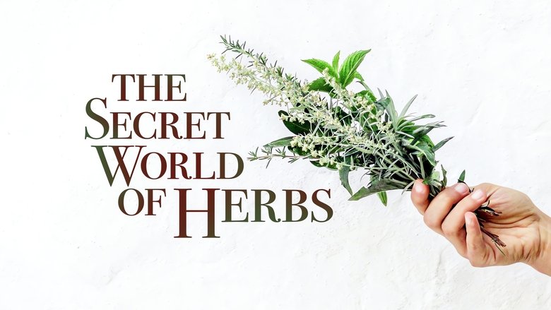 The Secret World of Herbs