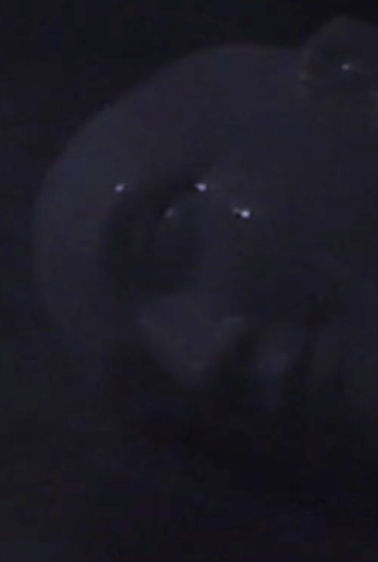 Silent Night
