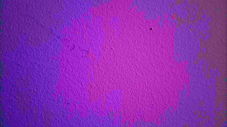 a tiny bug crawls across a wall