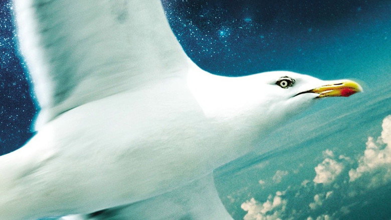 Jonathan Livingston Seagull backdrop 2