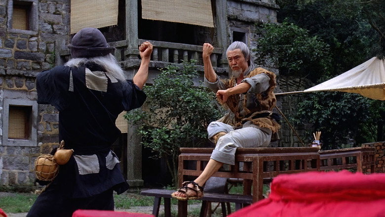 The World of Drunken Master backdrop 2