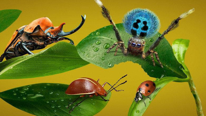 A Real Bug's Life backdrop 8