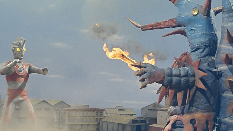 The Life of Seven! The Life of Ace!