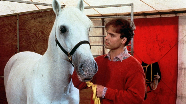 Mein Freund, der Lipizzaner backdrop 3