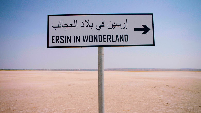 Ersin in wonderland backdrop 2