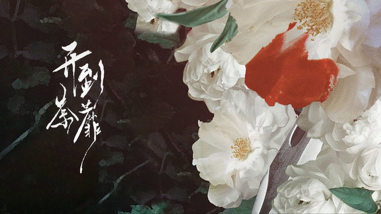 开到荼靡 backdrop 1