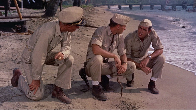 South Pacific backdrop 9