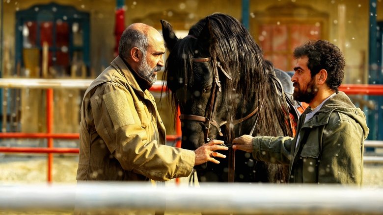 Mehdi Faraji