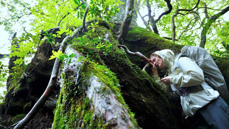 Yakushima's Illusion backdrop 2