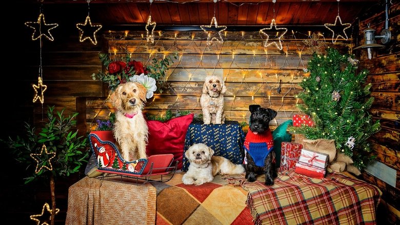 The Dog House at Christmas