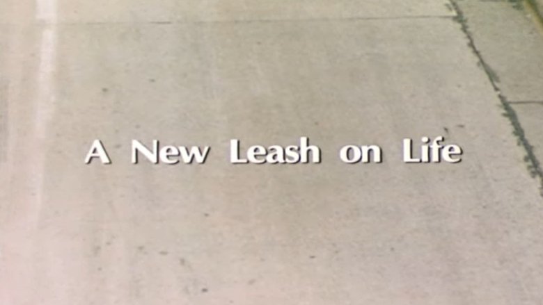 A New Leash On Life