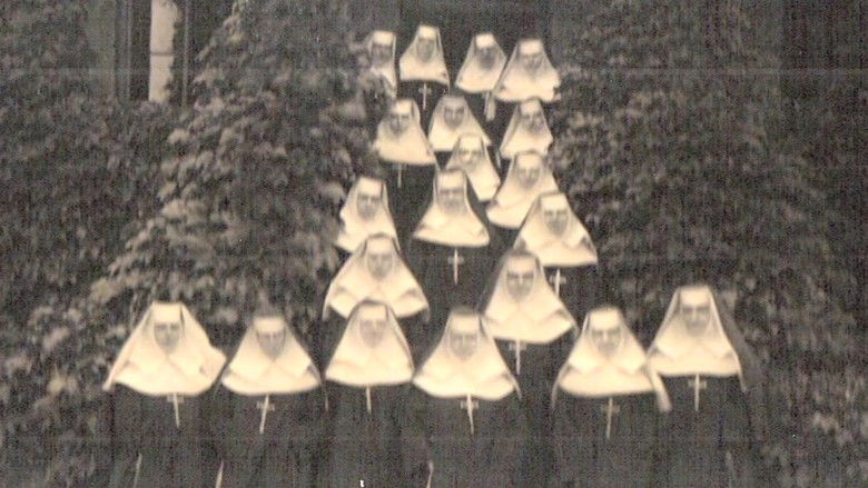 A Vast Company Of Witnesses: The Communion Of Saints