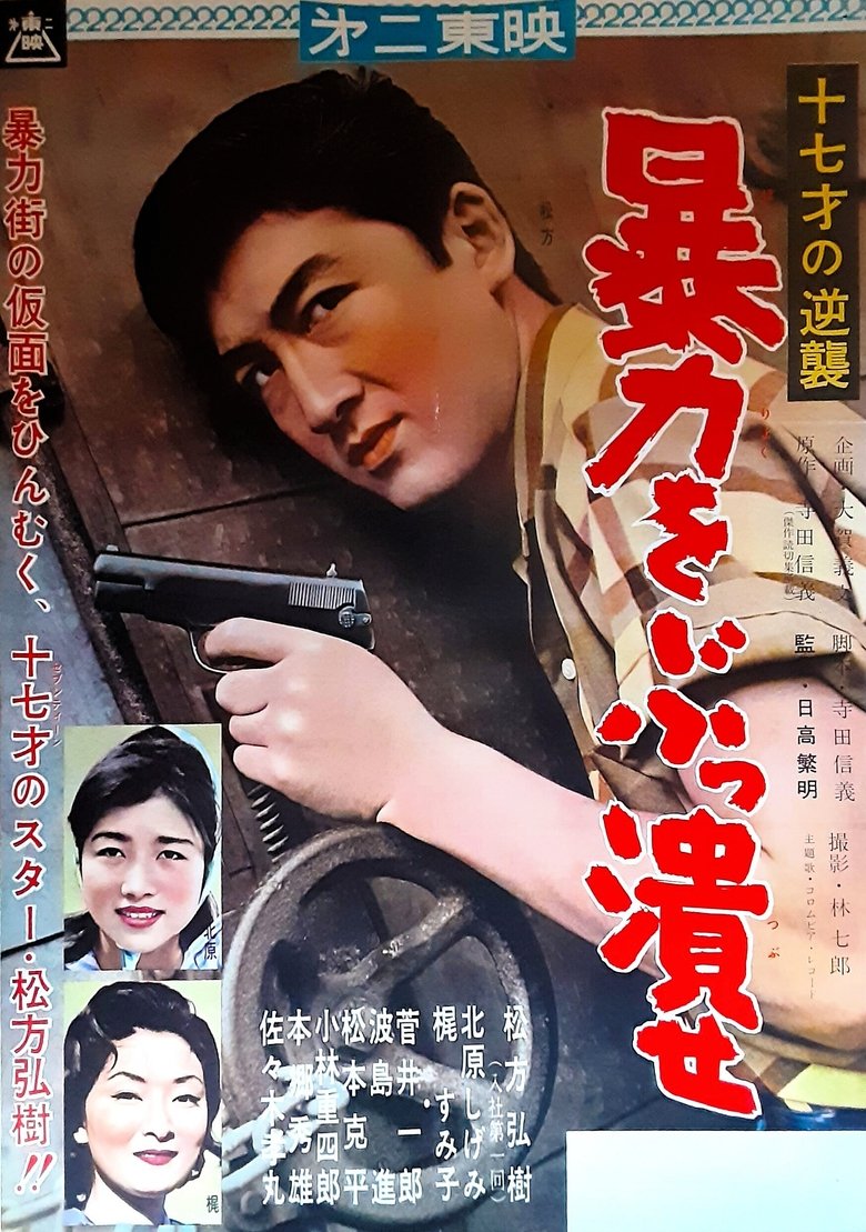 十七才の逆襲 暴力をぶっ潰せ
