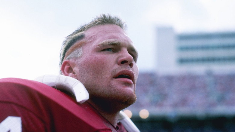 Brian and the Boz backdrop 2