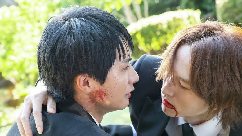 Succession and the Will