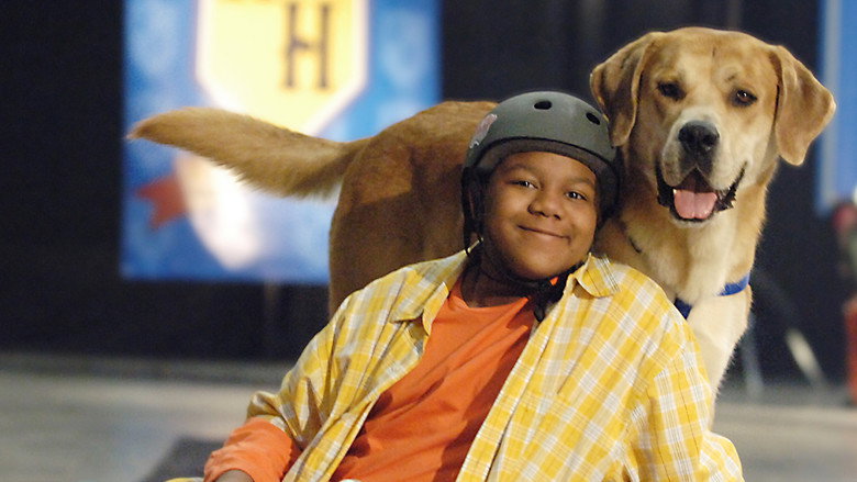Life Is Ruff backdrop 3