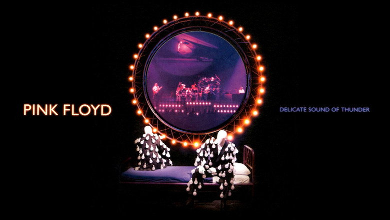 Pink Floyd: Delicate Sound of Thunder backdrop 6