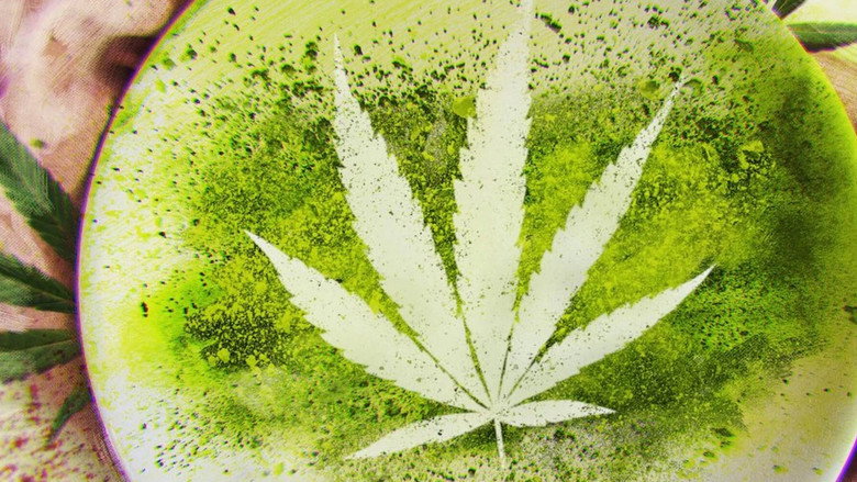 Cooked With Cannabis backdrop 2