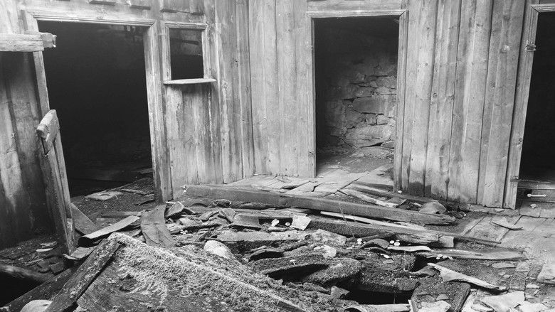 The Room and The Kitchen Backdrop