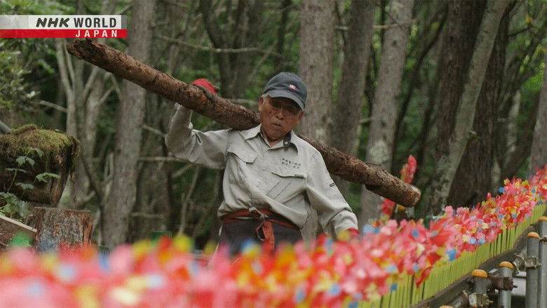 Preserving the Site of a Plane Crash