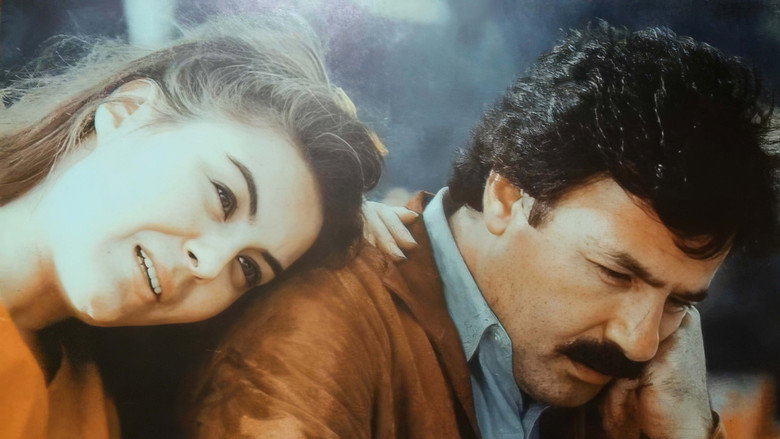 Bu Şehrin Geceleri backdrop 4