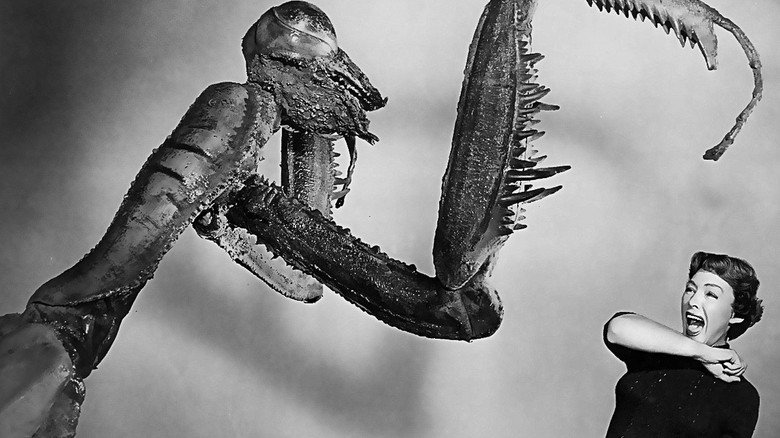 The Deadly Mantis backdrop 6