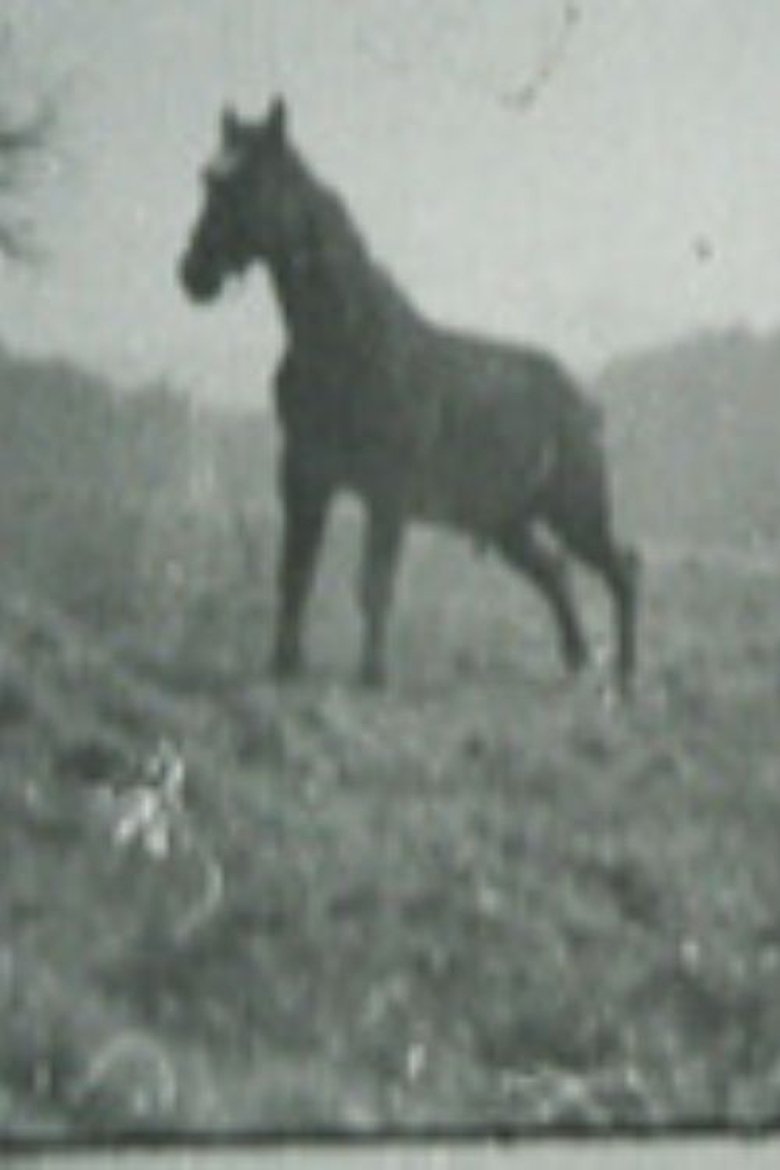 Golan