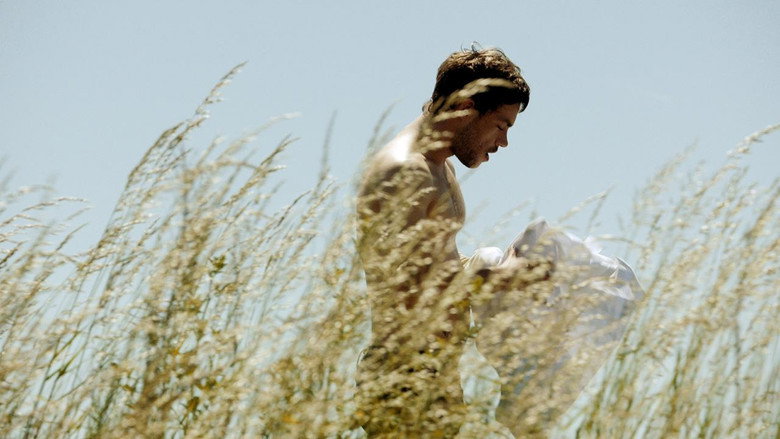 Sauvage backdrop 9