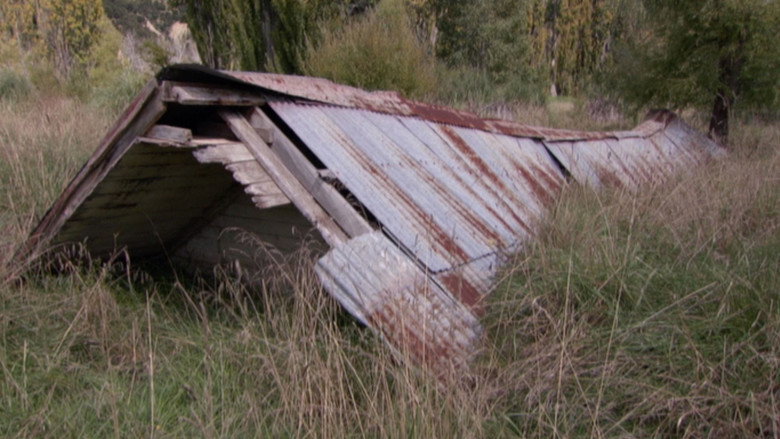 Saving Grace - Te Whakarauora Tangata backdrop 1