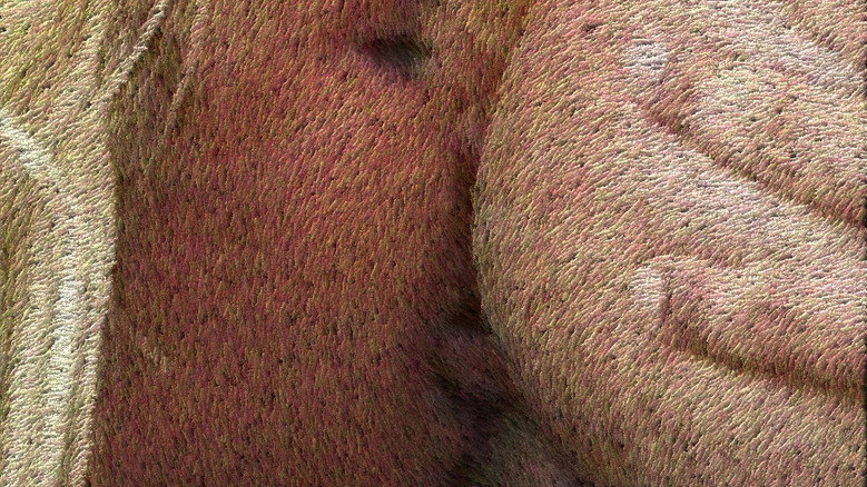 Rough Sex 2 backdrop 1