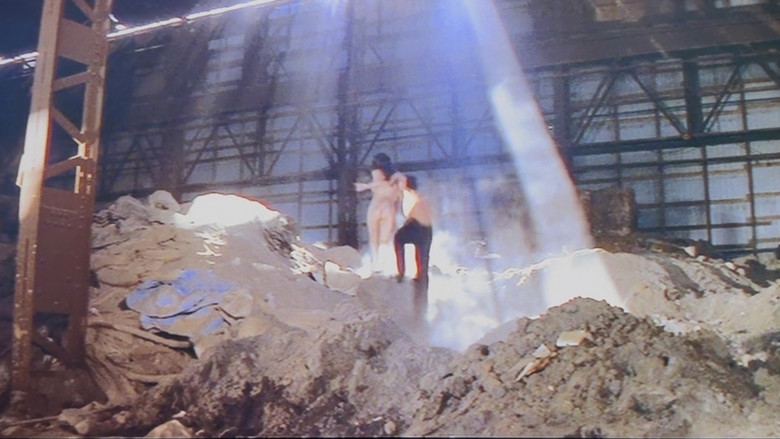 Zoom Up: The Beaver Book Girl backdrop 3