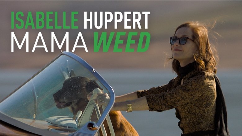 Movie Mama Weed Poster Images, BackDrops Images, Logo Images backdrops 0 /uRKj5gwid7139raOassZrFORGY9.jpg