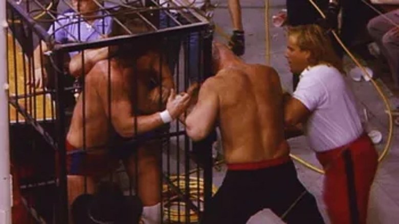 WCCW - February 13, 1988