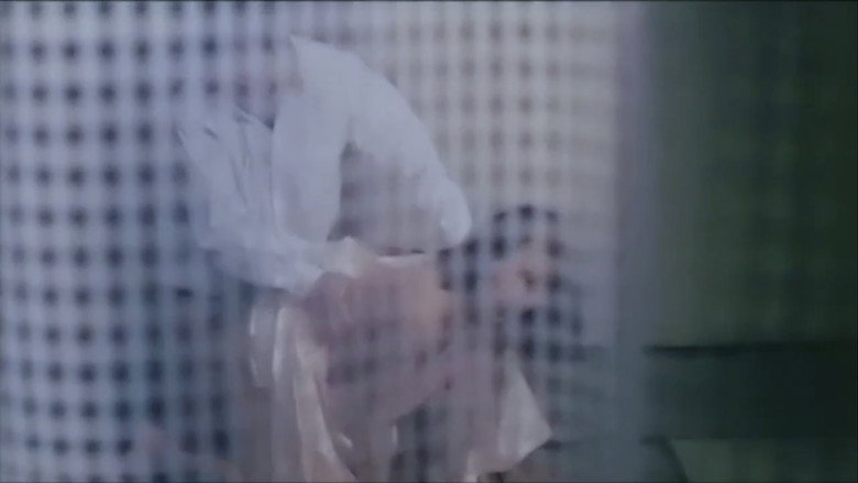 Gômon mizu-zeme backdrop 8