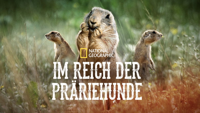 Prairie Dog Manor backdrop 7