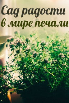 Сад радости в мире печали