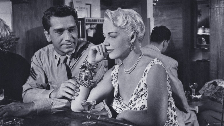 Highway Dragnet backdrop 7